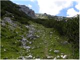 Planina Podvežak - Kocbekov dom na Korošici